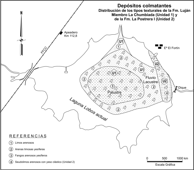 Depósitos colmatantes.
Distribución esquemática de los tipos texturales de la Unidad 1: Fm. Luján,
Miembro La Chumbiada y de la Unidad 2: Fm. La Postrera I.