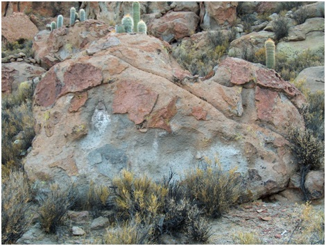 Roca hendida con surco oblicuo ubicada en la parte más
elevada de la Loma Baja.