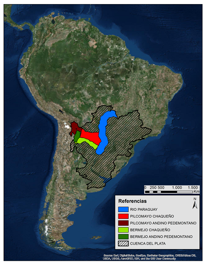 Cuenca del Plata y
sectores abordados