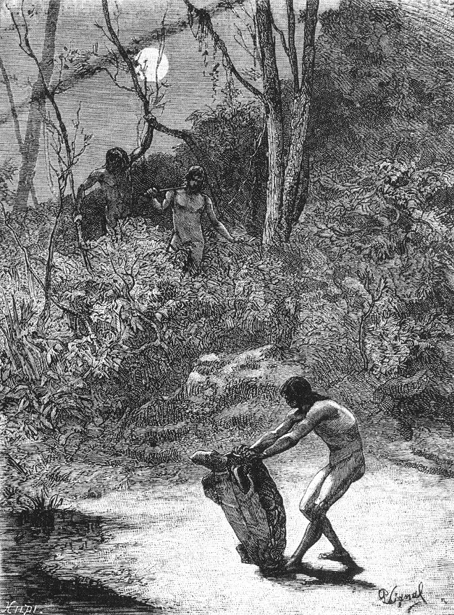  Indígenas suno de la Amazonía ecuatoriana cazando
tortugas de agua dulce en el siglo XIX (grabado de Vignal en Wiener 1883).