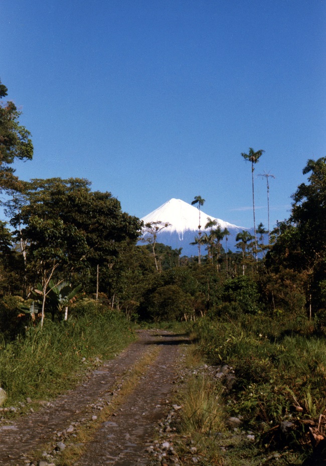 Volcán Sangay (fotografía S. Rostain).