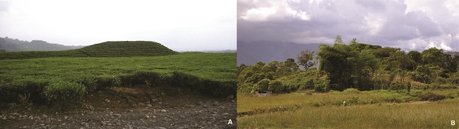 Hummocks volcánicos del alto Pastaza. A. Plantación de té Sangay (fotografía G. de Saulieu) y B. Colina Moravia que fue ocupada a la
época precolombina (fotografía S. Rostain).