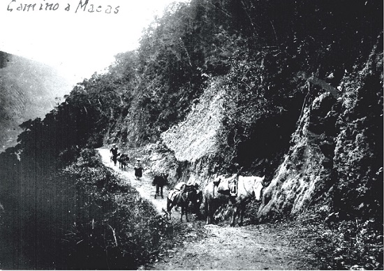 “Camino a Macas”. Conexión entre la sierra y la selva
a la época colonial (fotografía D.R.).