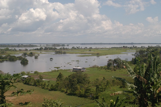 Vista da várzea do
rio Solimões, Iranduba, Amazônia Central, Estado do Amazonas (Eduardo G.
Neves).
