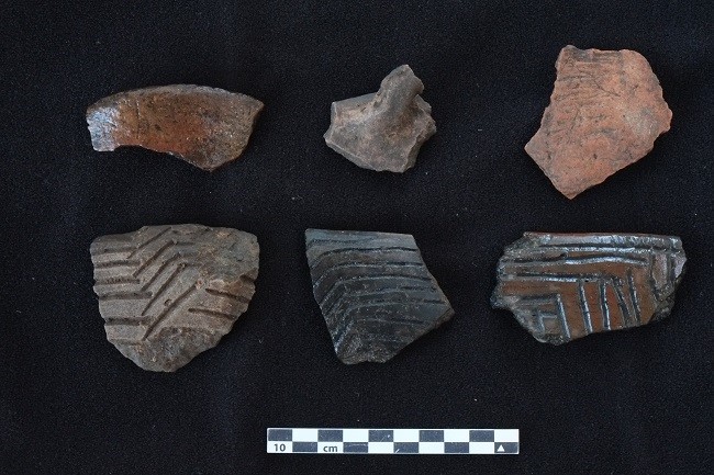  Fragmentos
de cerâmica da fase Bacabal datados em cerca de 2.200 anos BCE, sambaqui Monte
Castelo, rio Guaporé, Sudoeste da Amazônia (Eduardo G. Neves).