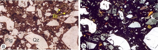  a. Fotomicrografía de la Ignimbrita dacítica. Se destaca la alta
participación de cristaloclastos en su composición, superior al 40%, dispuestos
en una matriz vitroclástica de color castaño (sin analizador, ancho de la foto
6,7mm). b. Ídem anterior, con
analizador. Plg = plagioclasa, Qz = cuarzo, Bt = biotita.