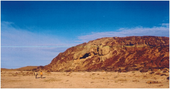 Vista
panorámica de uno de los afloramientos de la Ignimbrita riolítica 4. Forma un
depósito de flujo de más de 20m de espesor con grandes cavidades producto de la
erosión